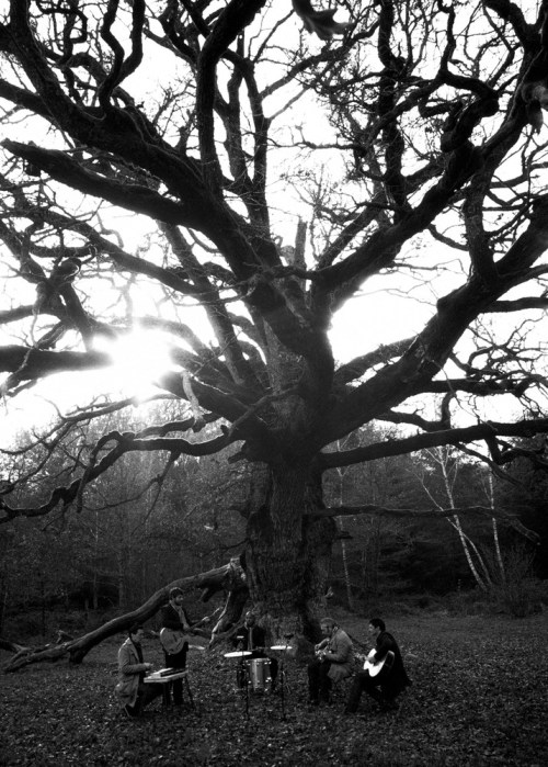 Tindersticks_group_agou_2