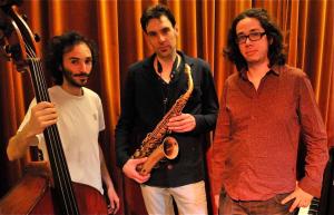 Foto34Peacekleur3GuyVandePoel_134440