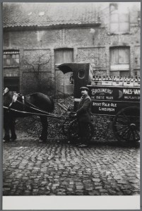 Foto Mouten en brouwen