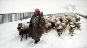 berlin_winter_nomad_hiver_nomade